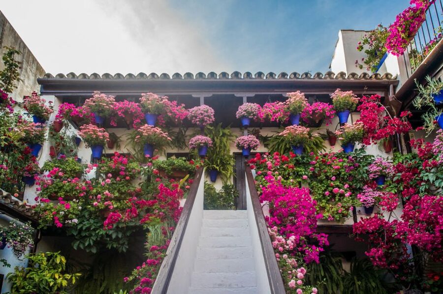 Córdoba: Guided Tour of the Patios - What the 90-minute route feels like