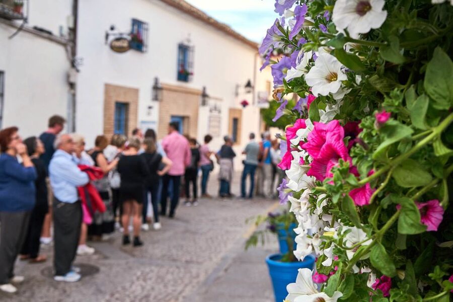 Córdoba: Guided Tour of the Patios - Flowers, plants, and the May festival