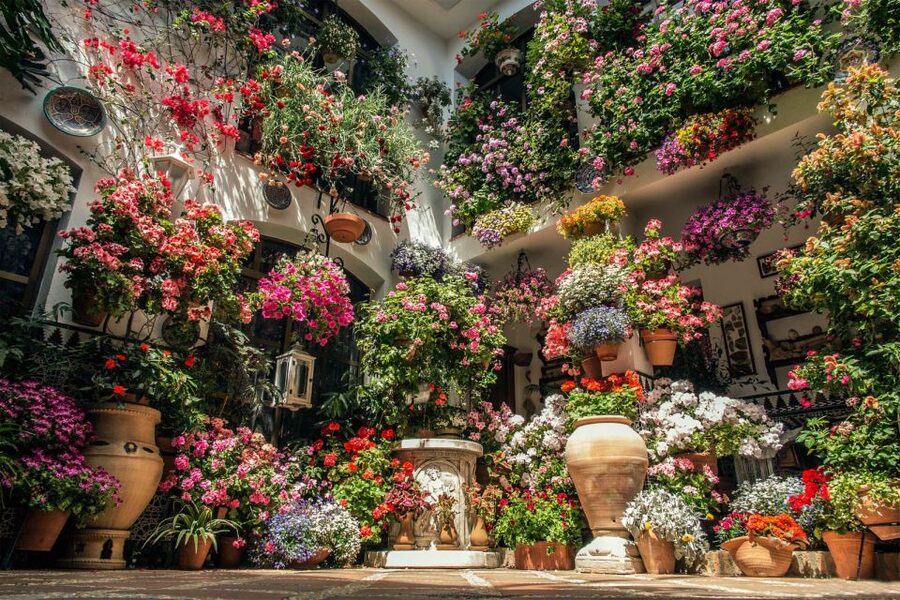 Córdoba: Guided Tour of the Patios - The guide is the main value
