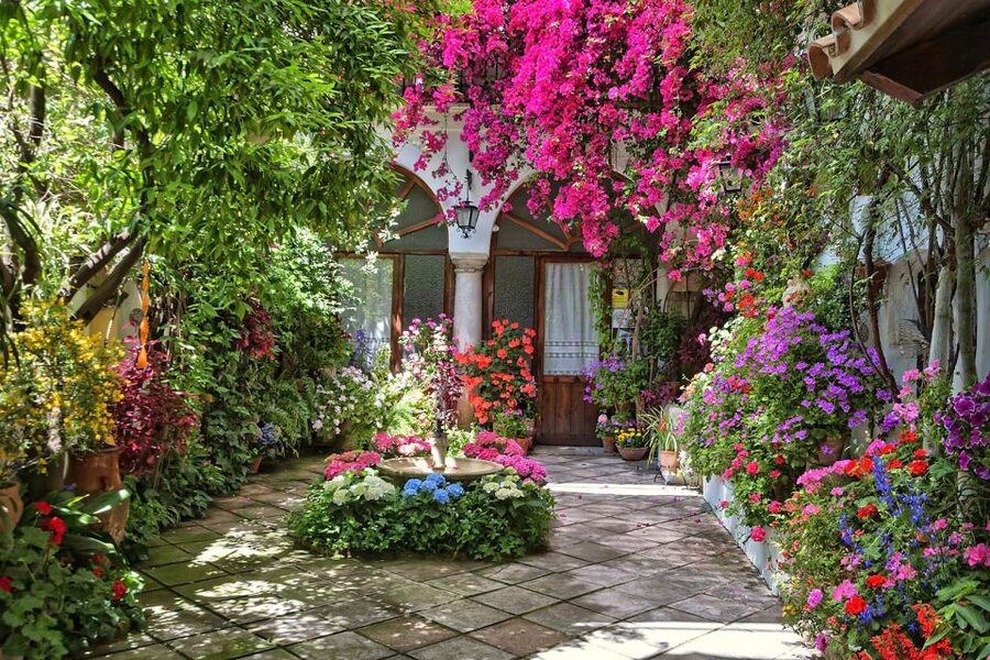 Córdoba: Guided Tour of the Patios - Who will enjoy this tour most