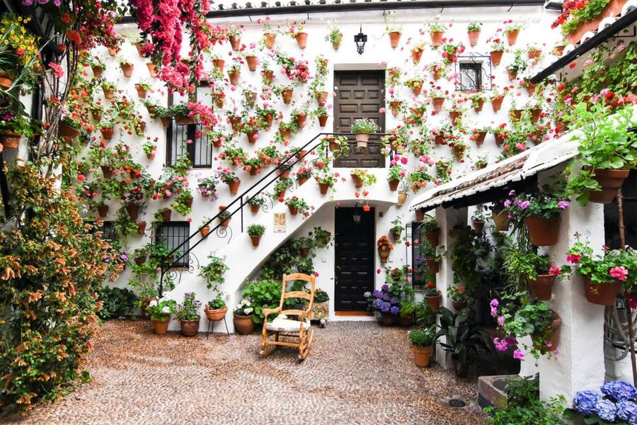 Córdoba: Guided Tour of the Patios - Best time to book