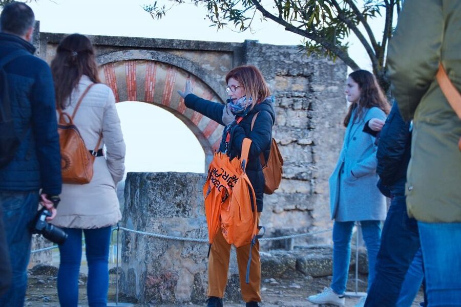 Cordoba: Half-Day Medina Azahara Guided Tour - What the Guides Add