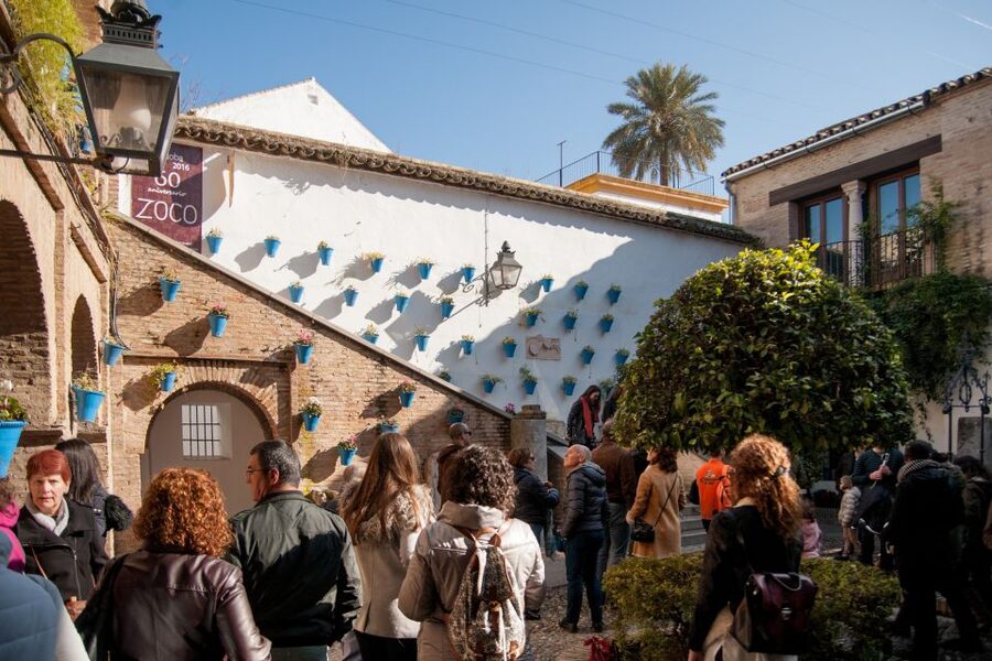 Cordoba: Jewish Quarter and Mosque-Cathedral Guided Tour - Practical advice for a smoother visit