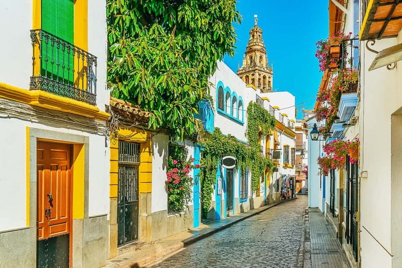 Córdoba: Jewish Quarter, Mosque, and Alcázar Tour - Who should book this Córdoba tour?