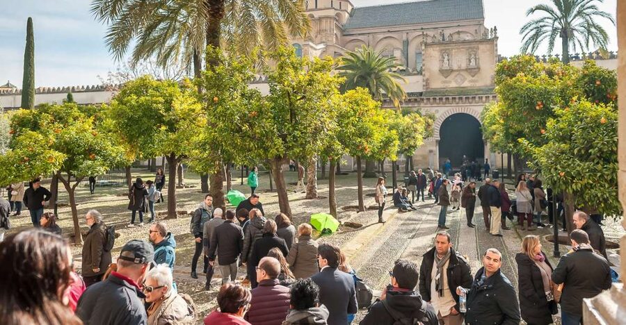 Cordoba: Monuments Walking Tour - How much value do you get for $66?