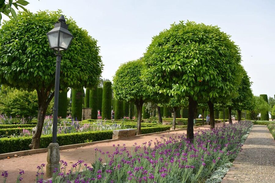 Cordoba: Monuments Walking Tour - Guides, languages, and group size
