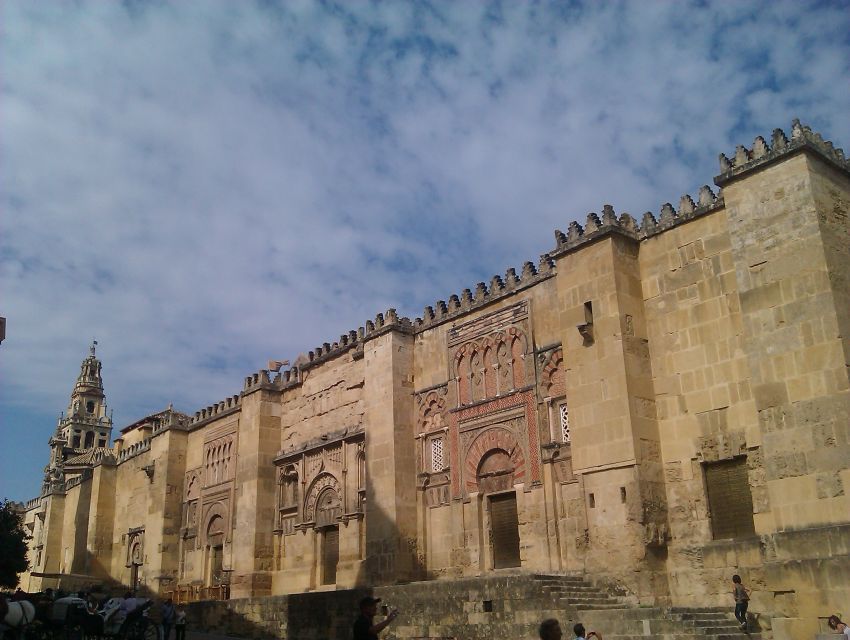 Córdoba: Mosque-Cathedral & Alcazar Guided Tour - A Spanish Guide Makes the Difference