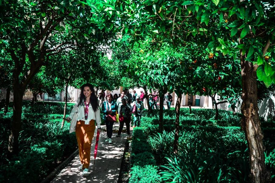Córdoba: Mosque-Cathedral and Alcazar Tour - What the guides add to the experience