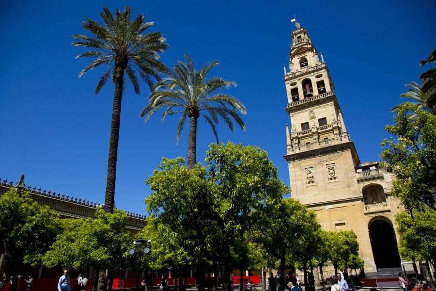 Córdoba: Mosque-Cathedral, Jewish Quarter and Alcázar Tour - Pace, breaks, and physical comfort