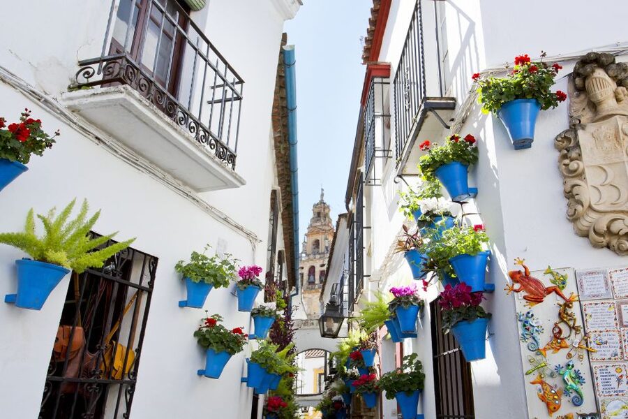 Cordoba Mosque & Jewish Quarter Tour with Tickets - Key points to know before booking