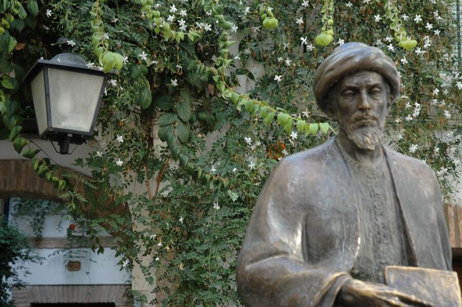 Cordoba Mosque & Jewish Quarter Tour with Tickets - Practical booking advice