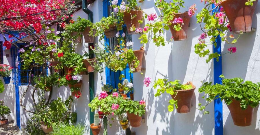 Cordoba's Authentic Patios: 2-Hour Tour with Tickets - Key points to know before you book