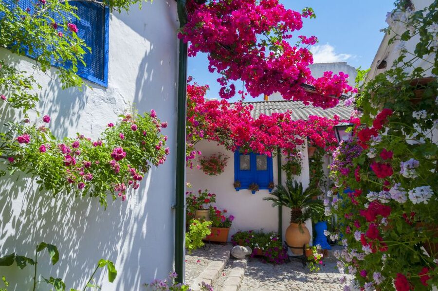 Cordoba's Authentic Patios: 2-Hour Tour with Tickets - Why Cordoba’s patios are worth your time