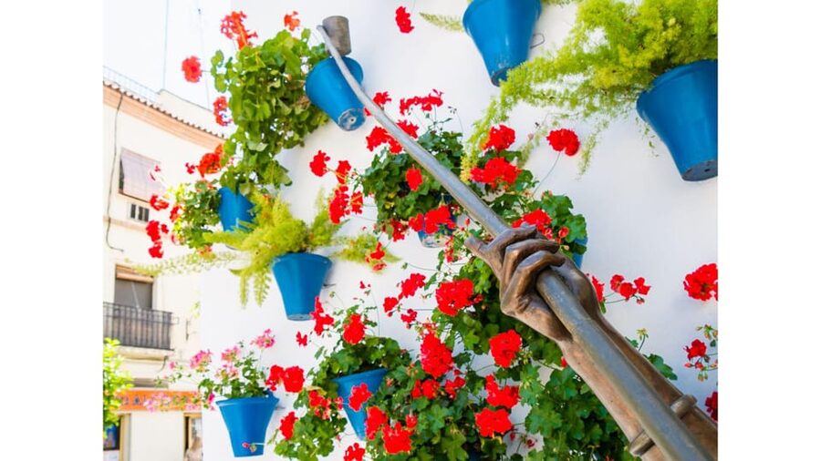 Cordoba's Authentic Patios: 2-Hour Tour with Tickets - Five courtyards, five different personalities