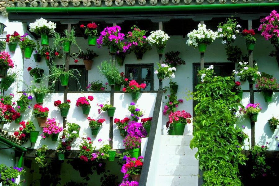 Cordoba's Authentic Patios: 2-Hour Tour with Tickets - What the patios look like outside spring