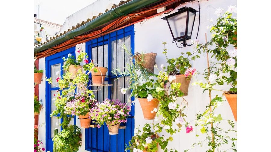 Cordoba's Authentic Patios: 2-Hour Tour with Tickets - Crowds, queues, and group size