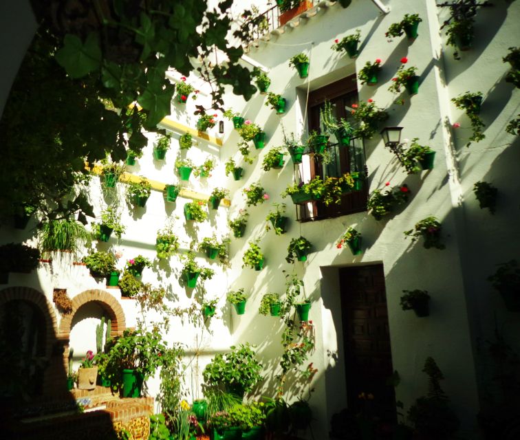 Cordoba's Authentic Patios: 2-Hour Tour with Tickets - Is $21 a good value?