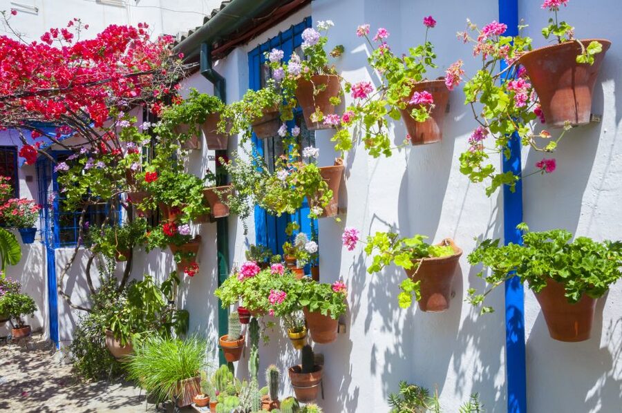 Cordoba's Authentic Patios: 2-Hour Tour with Tickets - Practical details that affect your day