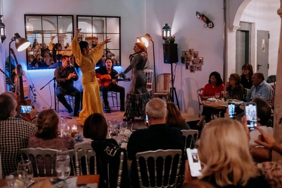 Córdoba: Tablao Flamenco at Doble de Cepa with Optional Meal - Who will enjoy this experience most