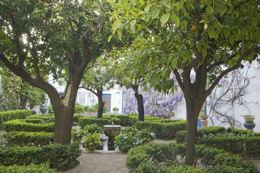 Córdoba: Viana Palace Gardens and Patios Entry Ticket - Key points to know before you go