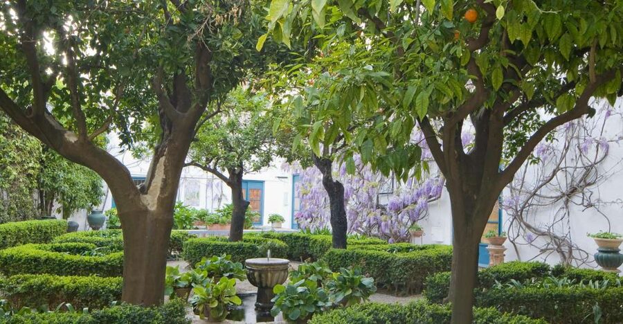 Córdoba: Viana Palace Gardens and Patios Entry Ticket - Why Viana Palace belongs on your Córdoba list