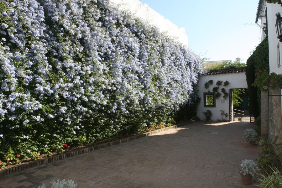 Córdoba: Viana Palace Gardens and Patios Entry Ticket - Starting at the first patio