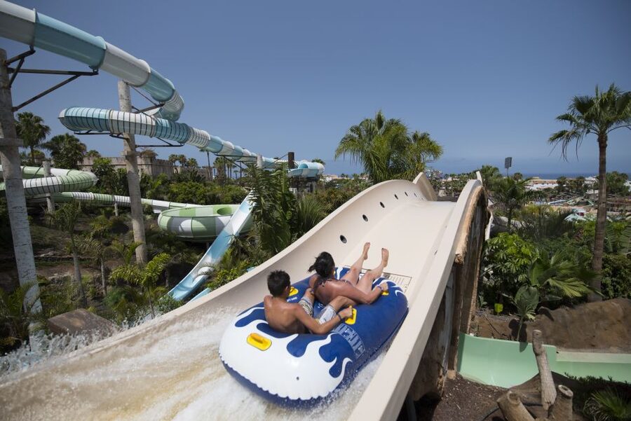 Costa Adeje: Aqualand Water Park Ticket with Dolphin Show - The Dolphin Show Is the Day’s Big Extra