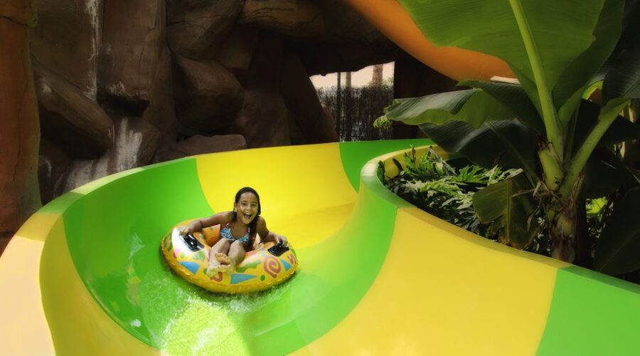 Costa Adeje: Aqualand Water Park Ticket with Dolphin Show - How I Would Plan the Day