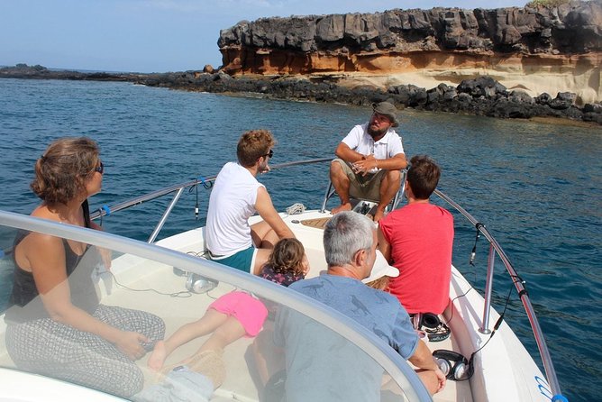 Costa Adeje | Cetacean sighting in Tenerife South - Key details before you book