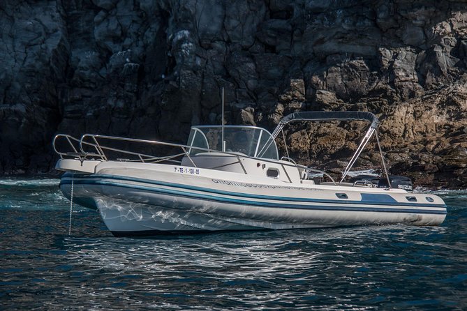 Costa Adeje | Cetacean sighting in Tenerife South - The people make the trip
