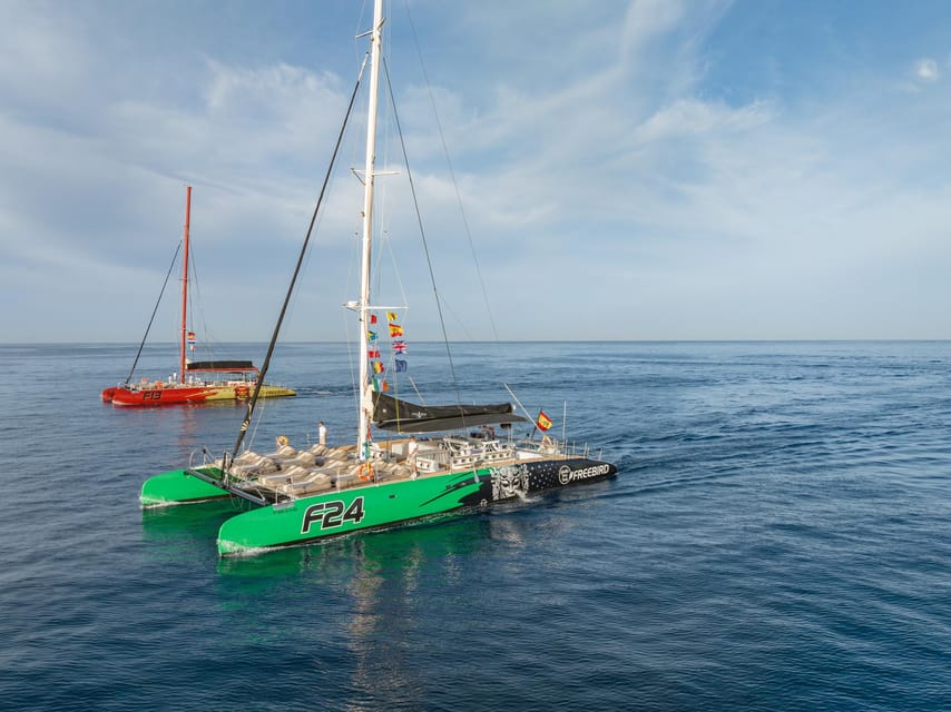 Costa Adeje: Masca and Los Gigantes Whale Watching Cruise - Key points at a glance