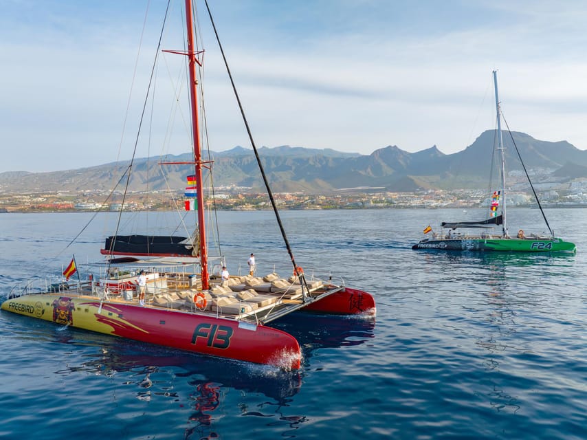 Costa Adeje: Masca and Los Gigantes Whale Watching Cruise - Meeting pilot whales and dolphins at sea