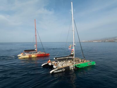 Costa Adeje: Masca and Los Gigantes Whale Watching Cruise