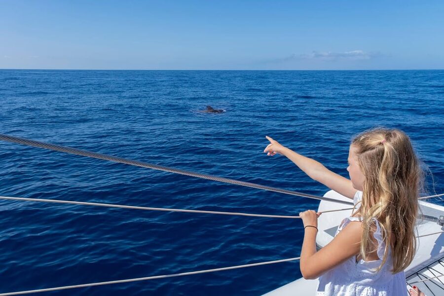 Costa Adeje: Masca and Los Gigantes Whale Watching Cruise - Lunch, beer, and what to expect onboard