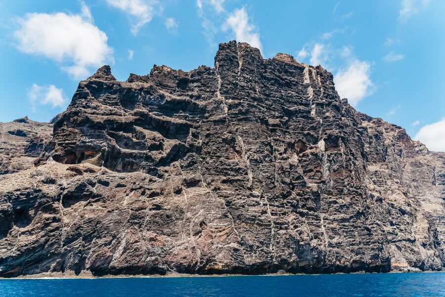 Costa Adeje: Masca and Los Gigantes Whale Watching Cruise - Is $71 good value?