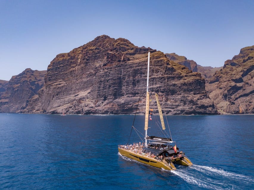 Costa Adeje: Masca and Los Gigantes Whale Watching Cruise - Who should book this cruise?
