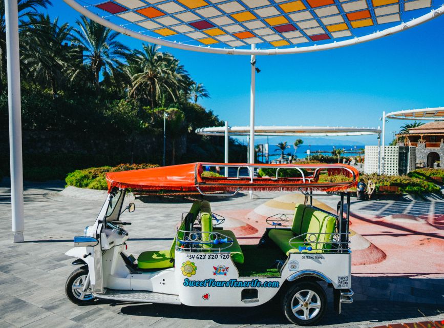 Costa Adeje: Tuk Tuk Tour - La Caleta, the tour’s most rewarding stop