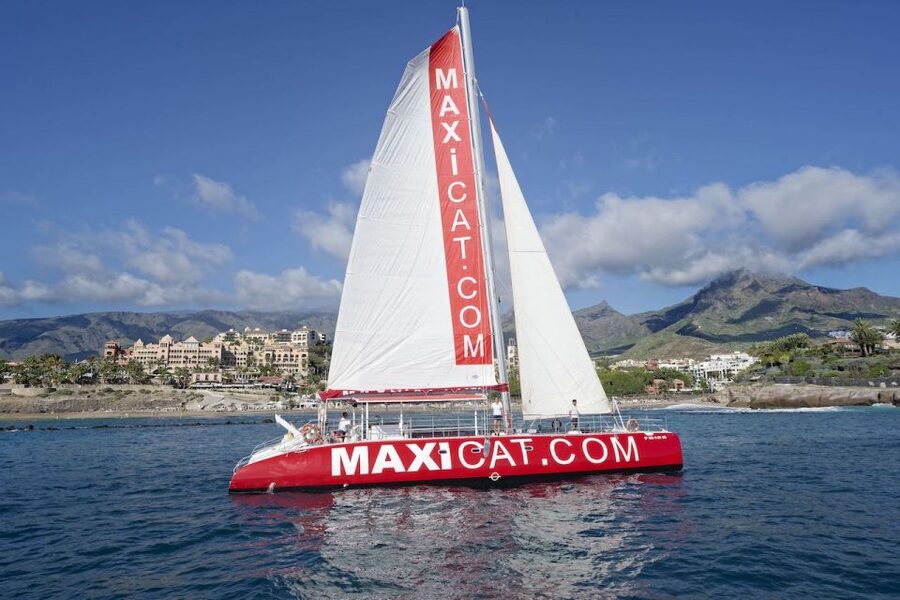 Costa Adeje: Whale and Dolphin Cruise with Food and Pickup - Seeing Tenerife from the sea