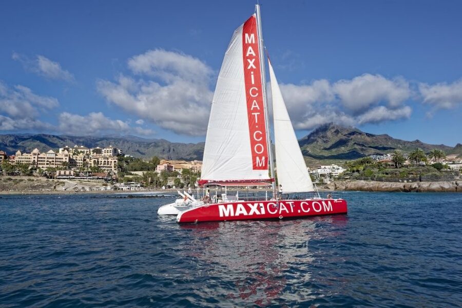 Costa Adeje: Whale and Dolphin Cruise with Food and Pickup - Swimming at Diego Hernandez Bay