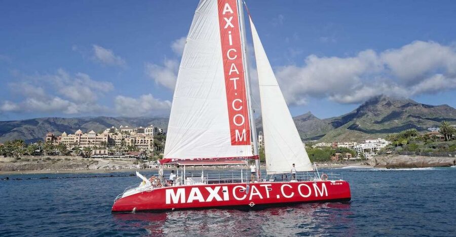 Costa Adeje: Whale and Dolphin Cruise with Food and Pickup - Searching for pilot whales offshore