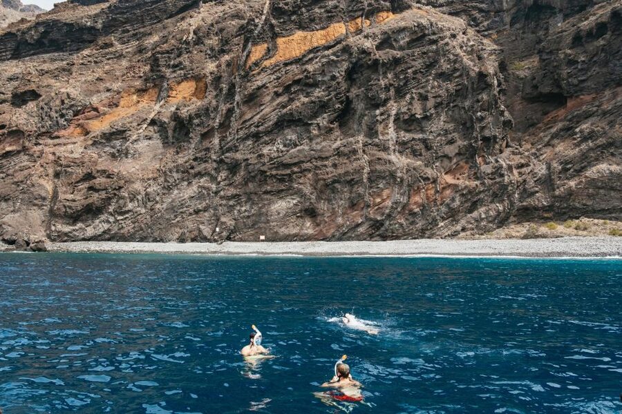 Costa Adeje: Whale & Dolphin Eco-Cruise with Snacks & Drinks - Key points before you book