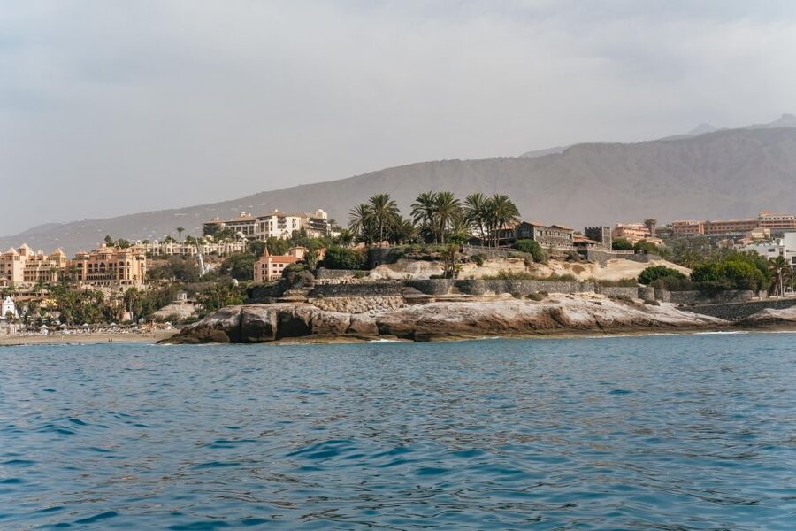 Costa Adeje: Whale & Dolphin Eco-Cruise with Snacks & Drinks - Practical tips for a smoother outing