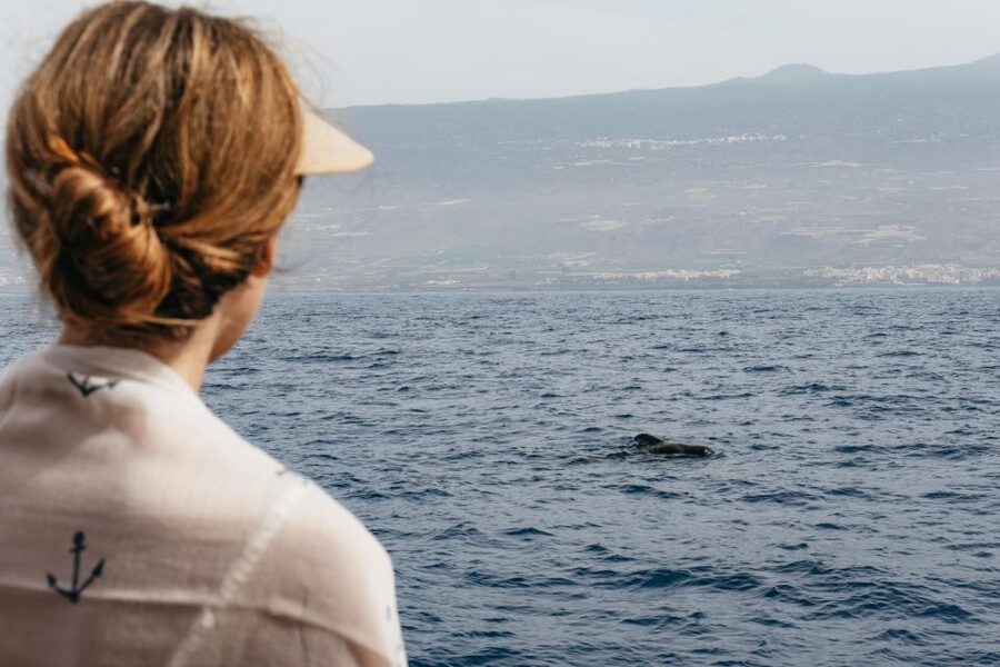 Costa Adeje: Whale & Dolphin Eco-Cruise with Snacks & Drinks - Setting out from Pier 8 in Puerto Colón
