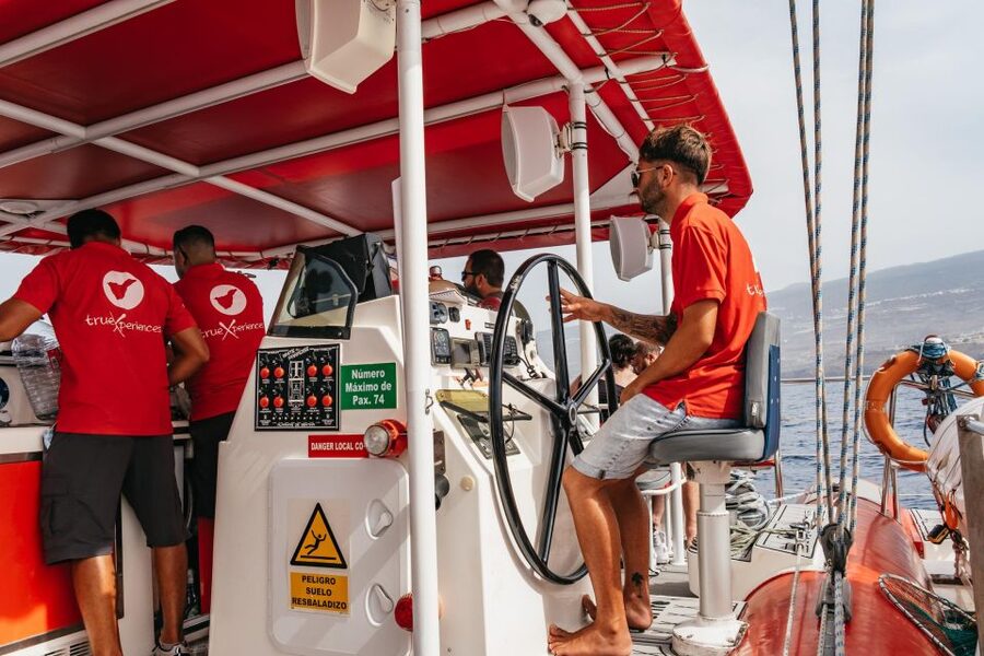Costa Adeje: Whale & Dolphin Eco-Cruise with Snacks & Drinks - Why the eco approach matters