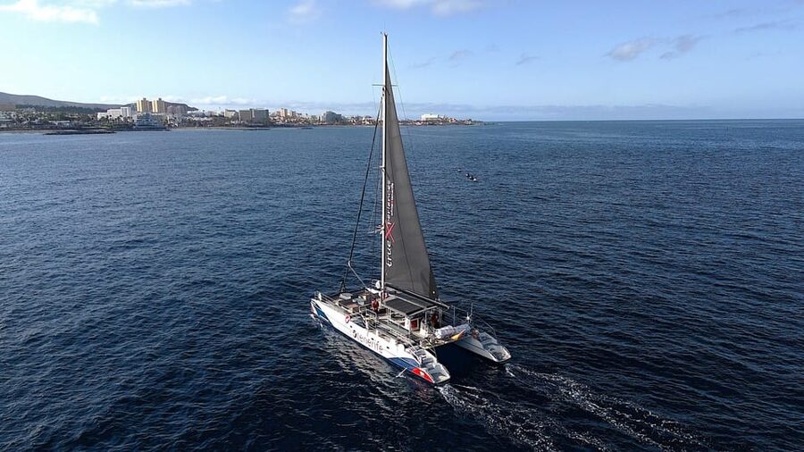 Costa Adeje: Whale & Dolphin Eco-Cruise with Snacks & Drinks - Food, drinks, and what your $52 buys