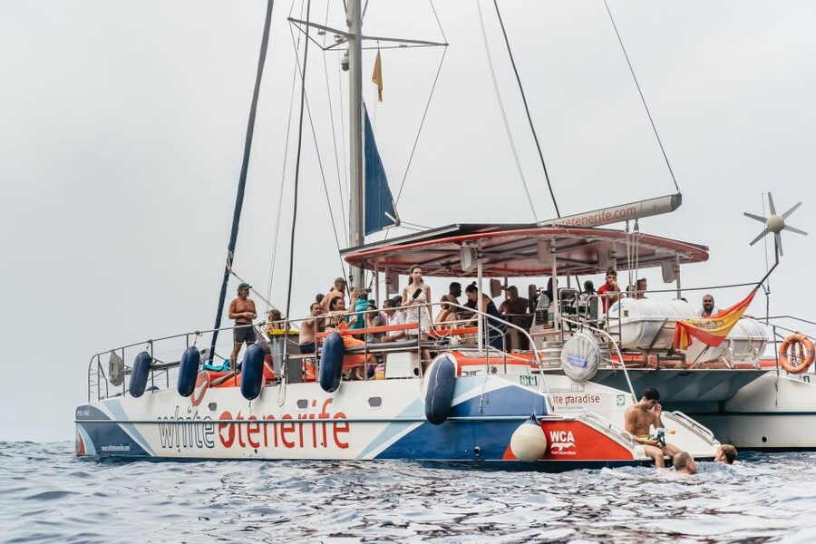 Costa Adeje: Whale & Dolphin Eco-Cruise with Snacks & Drinks - The three-hour cruise and its wildlife zone