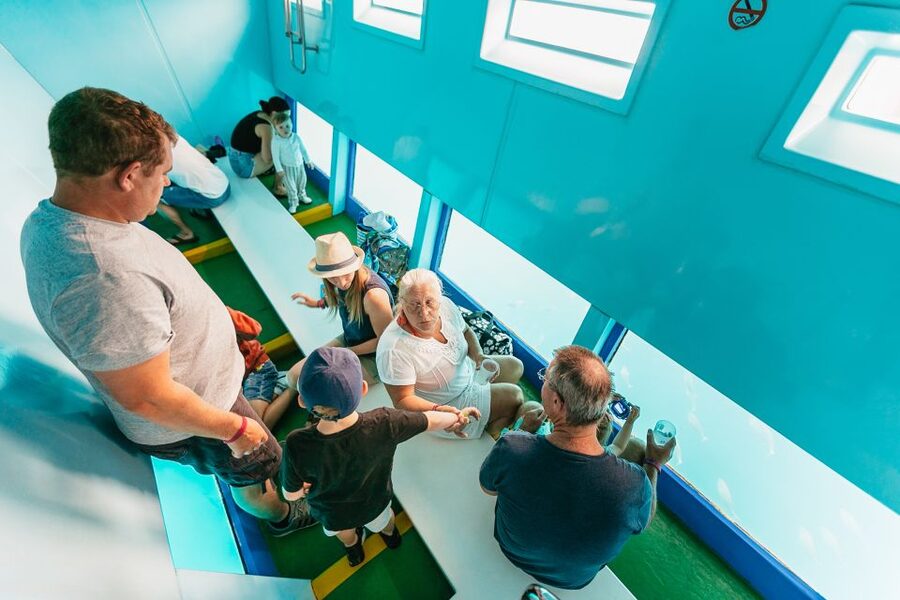 Costa Adeje: Whale & Dolphin Submarine Vision Mini Cruise - Who should book this Costa Adeje cruise?