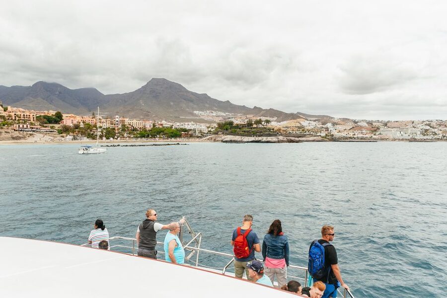 Costa Adeje: Whale & Dolphin Submarine Vision Mini Cruise - Setting out from Puerto Colón
