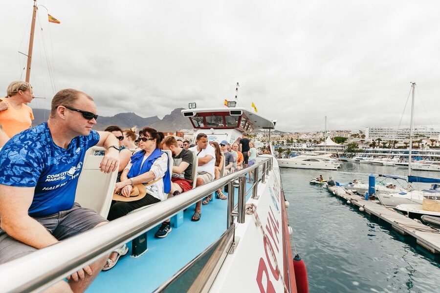 Costa Adeje: Whale & Dolphin Submarine Vision Mini Cruise - Families, children, and comfort on board