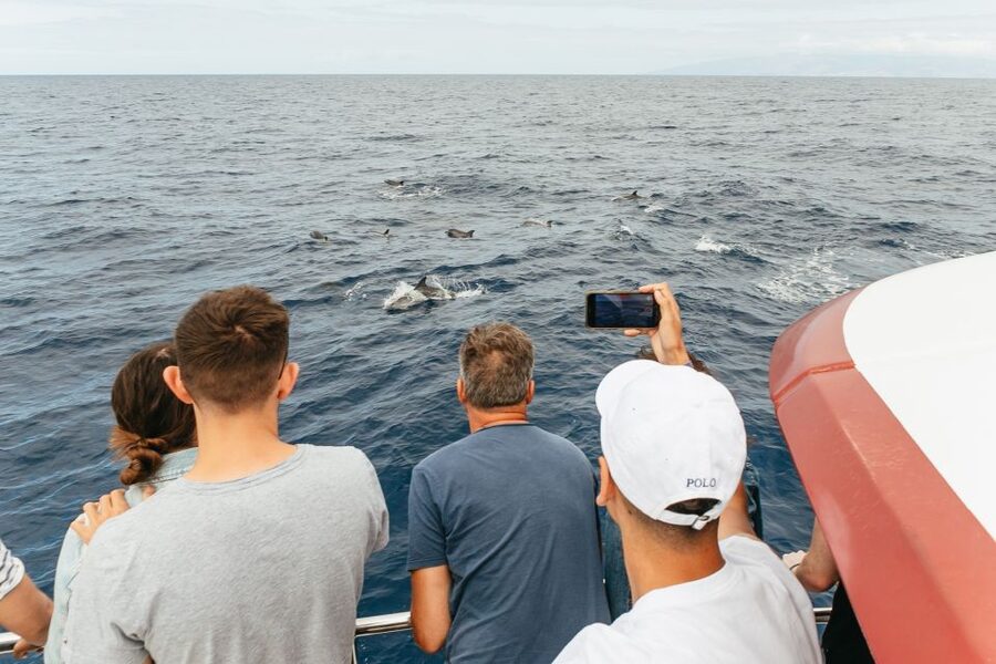 Costa Adeje: Whale & Dolphin Submarine Vision Mini Cruise - Seasickness and what to bring